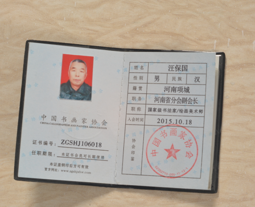 汪保国资质荣誉5